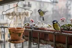 Věšák na šaty místo ptačí budky? Tenhle zimní hack zachrání víc ptáků, než si myslíš